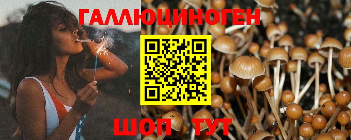 Галлюциногенные грибы ЛСД  Псилоцибиновые грибы Magic Shrooms  Сухой Лог  Вход с VPN 