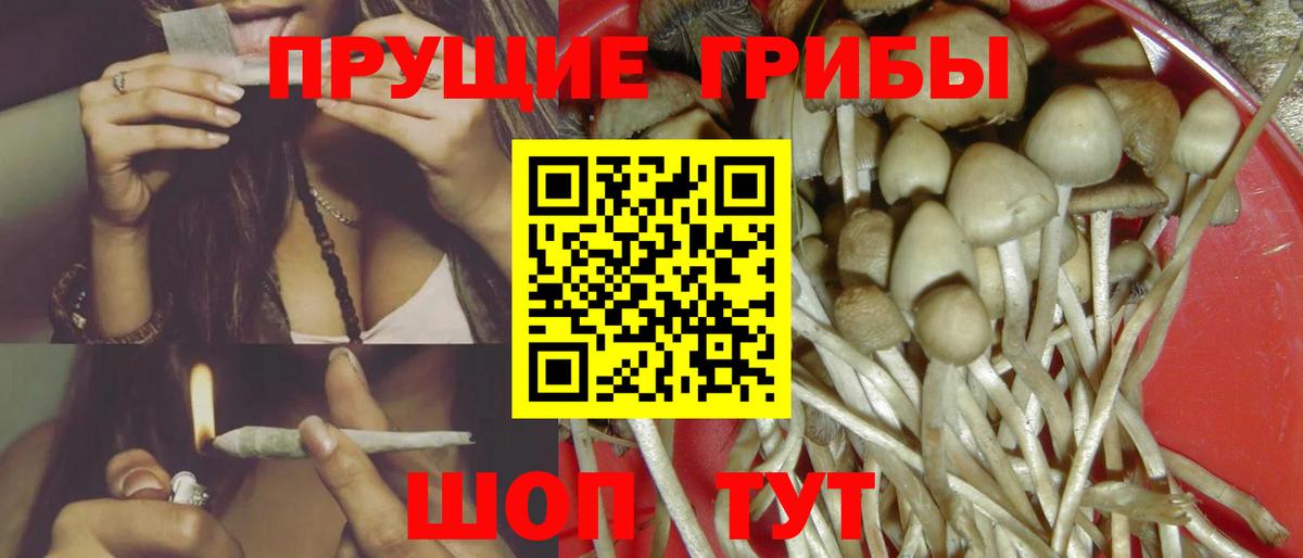 Галлюциногенные грибы Cubensis Сухой Лог