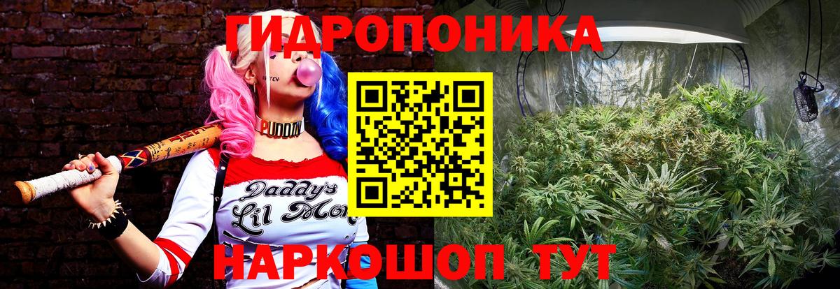 Канабис LSD WEED  Вход с VPN  Сухой Лог  Шишки марихуана индика  Шишки марихуана марихуана 